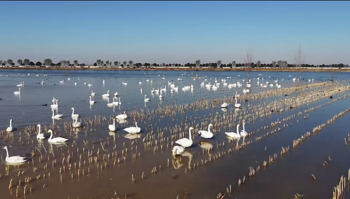 微信图片_2025-12-12_094630_081